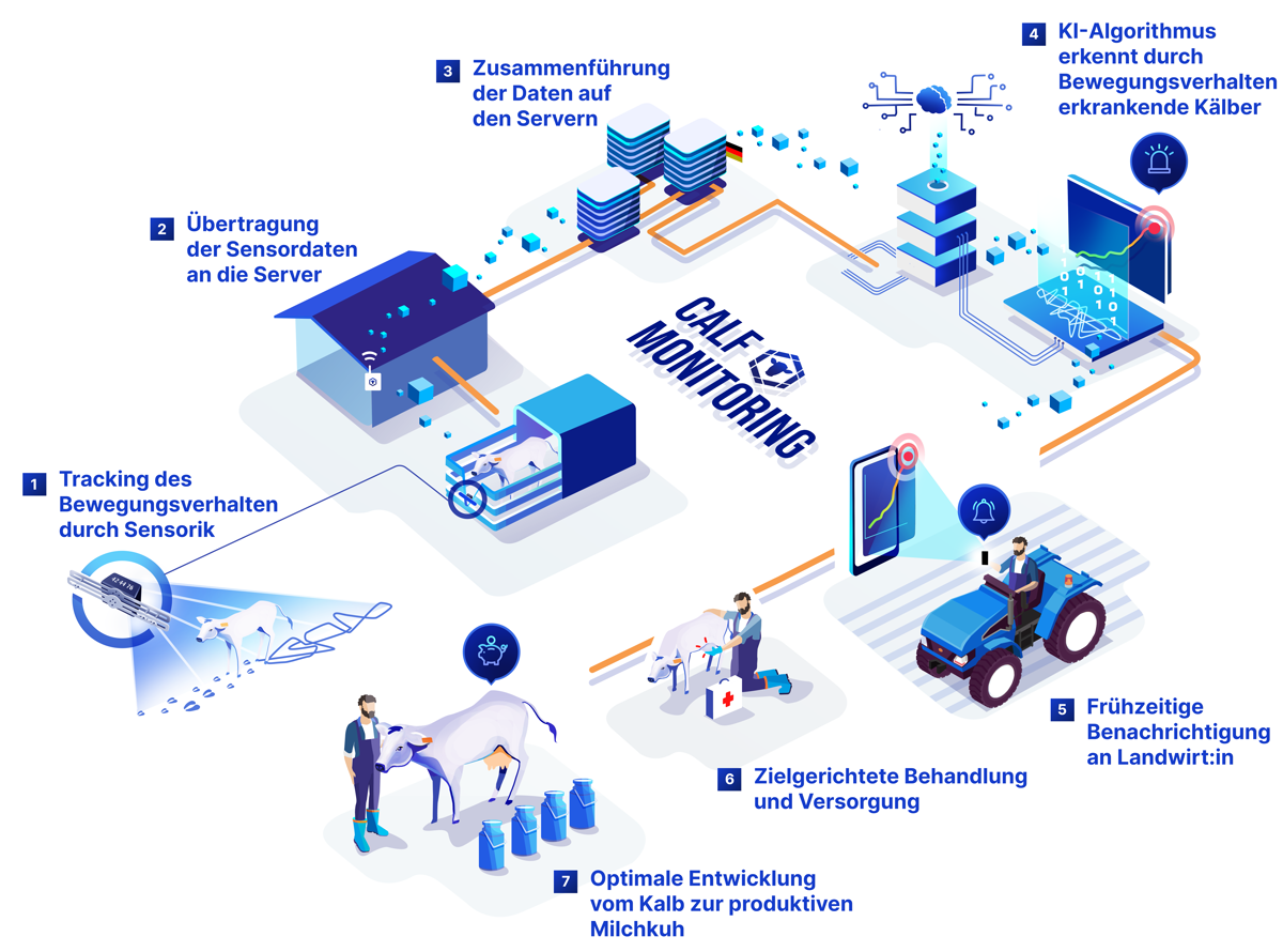 Futuro Farming - Calf Monitoring Workflow
